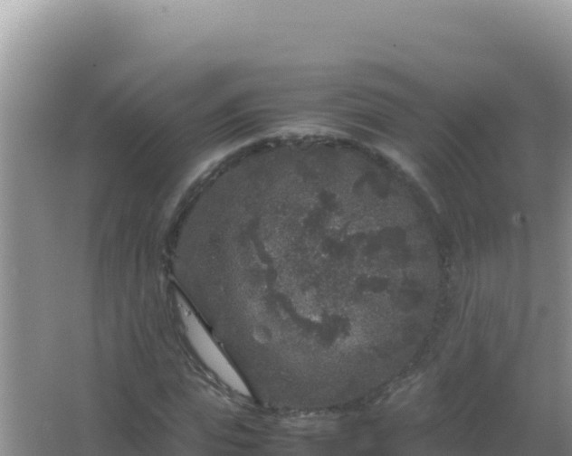 X0000067500823200604150105