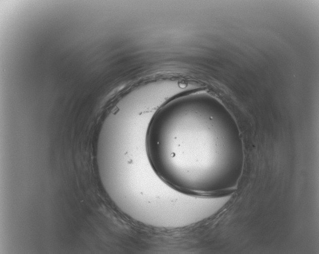 X0000067500824200604150105