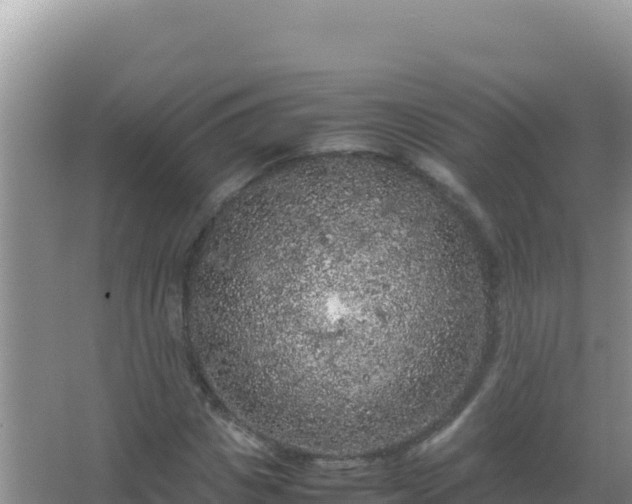 X0000067500825200604150105