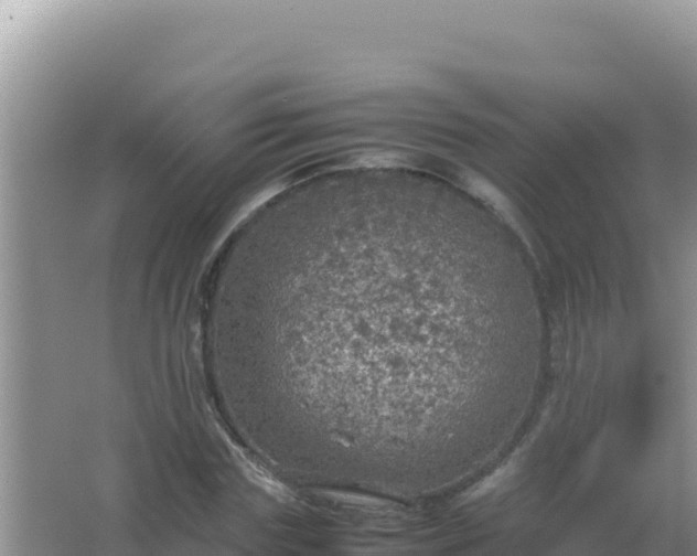 X0000067500827200604150105