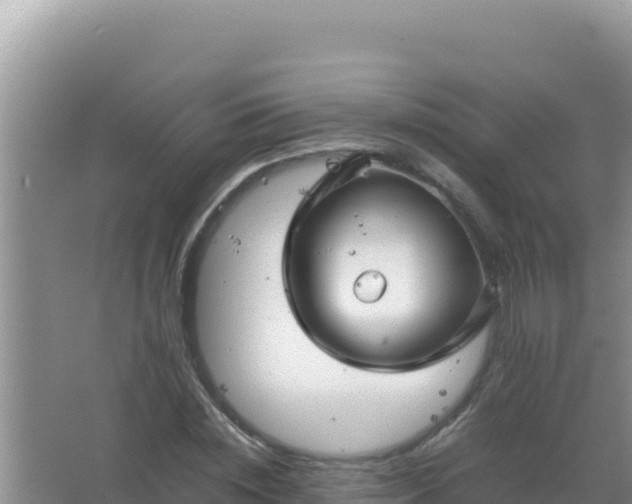 X0000067500828200604150105