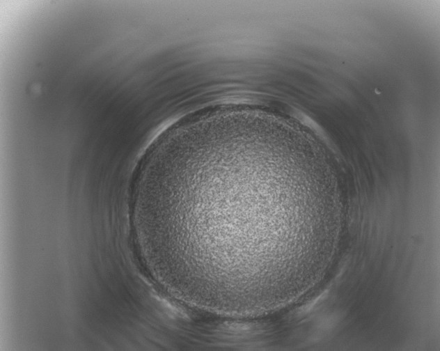 X0000067500829200604150105