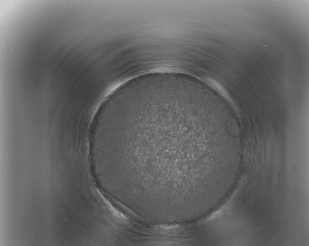 X0000067500831200604150105