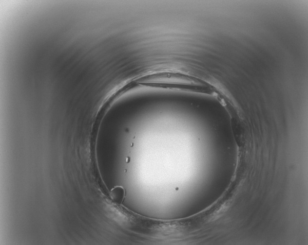 X0000067500834200604150105