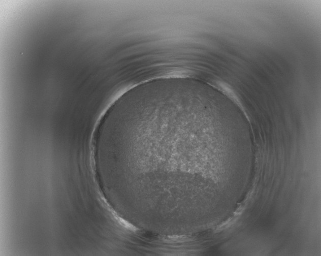 X0000067500835200604150105