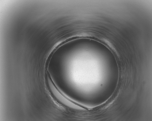 X0000067500837200604150105