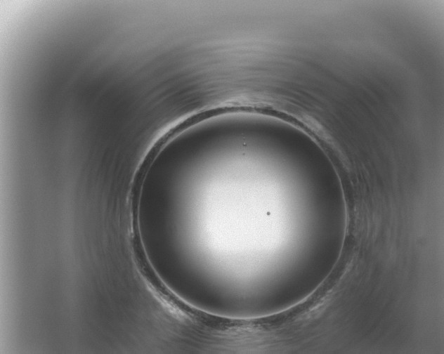 X0000067500838200604150105