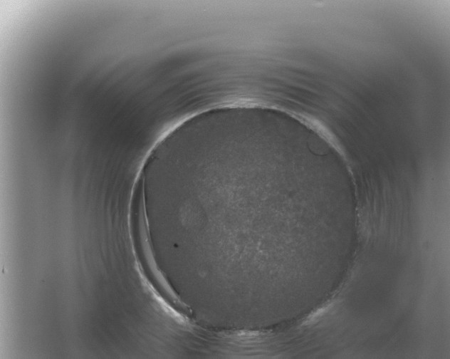 X0000067500839200604150105