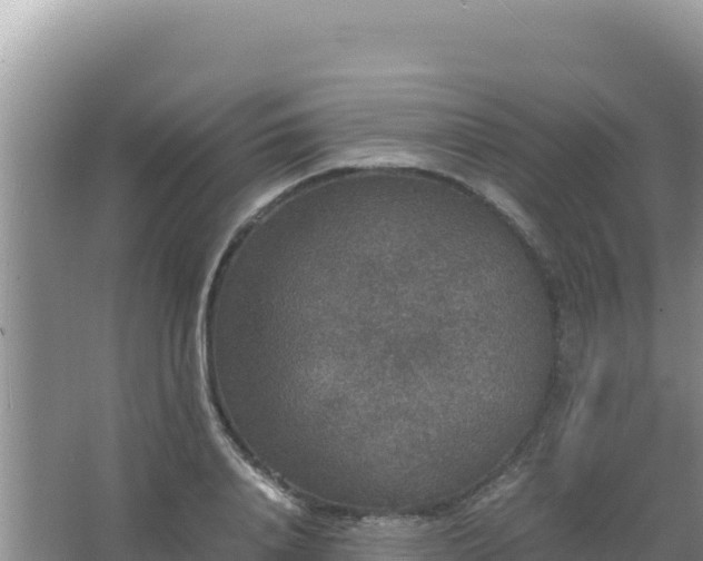 X0000067500840200604150105