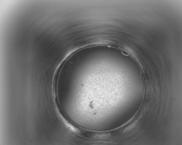 X0000067500843200604150105