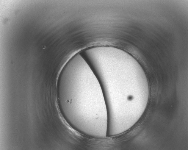 X0000067500844200604150105