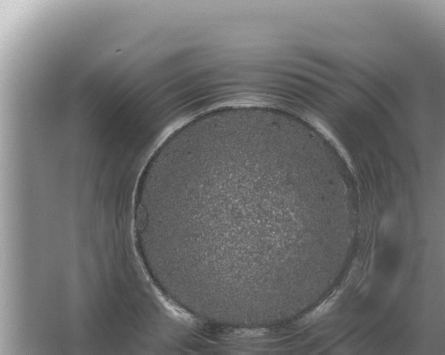 X0000067500845200604150105