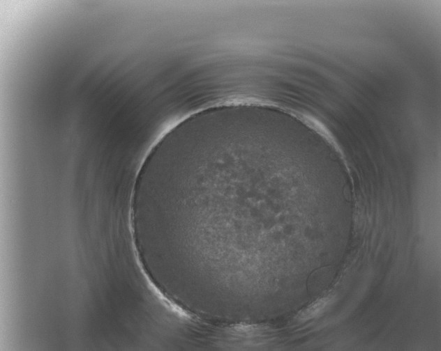 X0000067500847200604150105