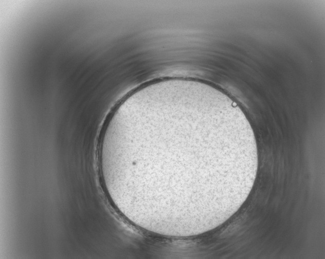 X0000067500848200604150106