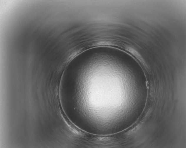 X0000067500849200604150106