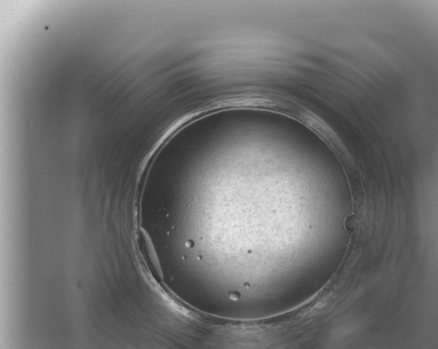 X0000067500852200604150106