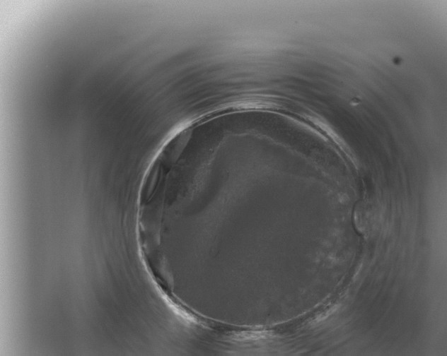 X0000067500853200604150106