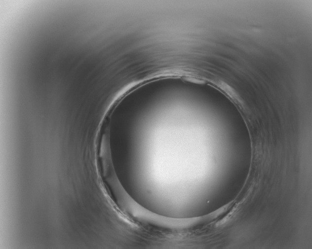 X0000067500854200604150106