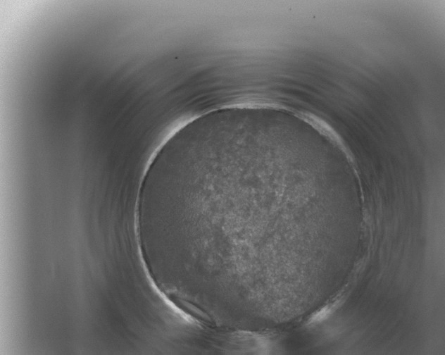 X0000067500855200604150106