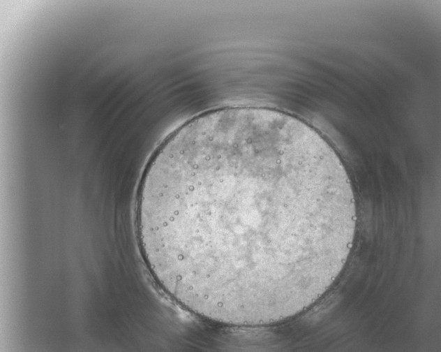 X0000067500856200604150106