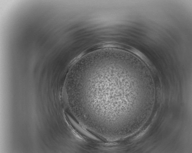 X0000067500857200604150106