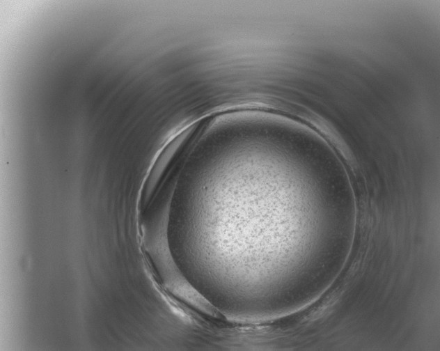 X0000067500858200604150106