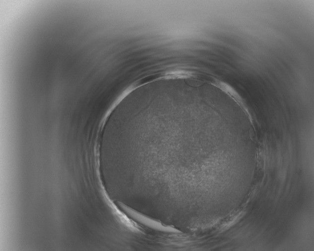 X0000067500859200604150106