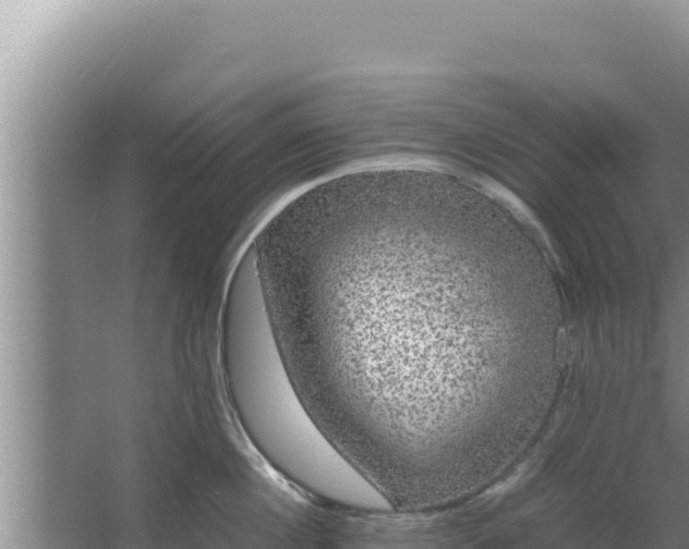 X0000067500860200604150106