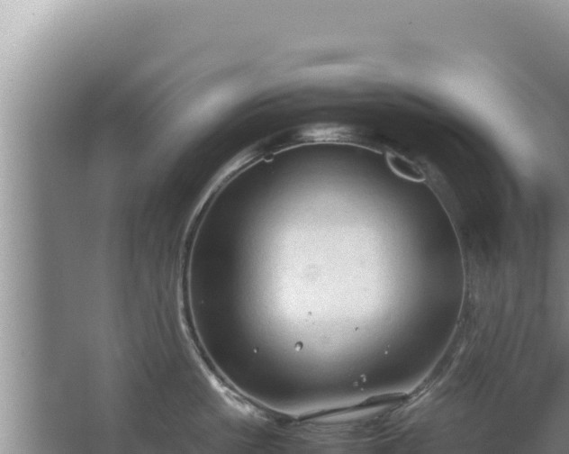 X0000067500861200604150106