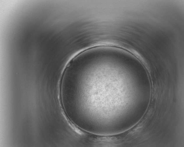 X0000067500862200604150106