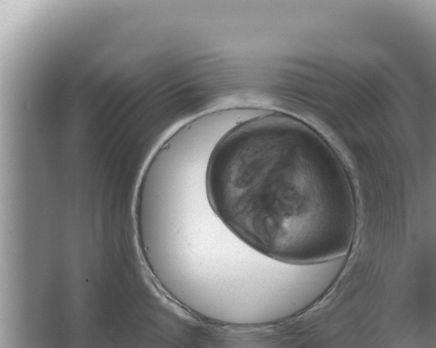 X0000067500864200604150106