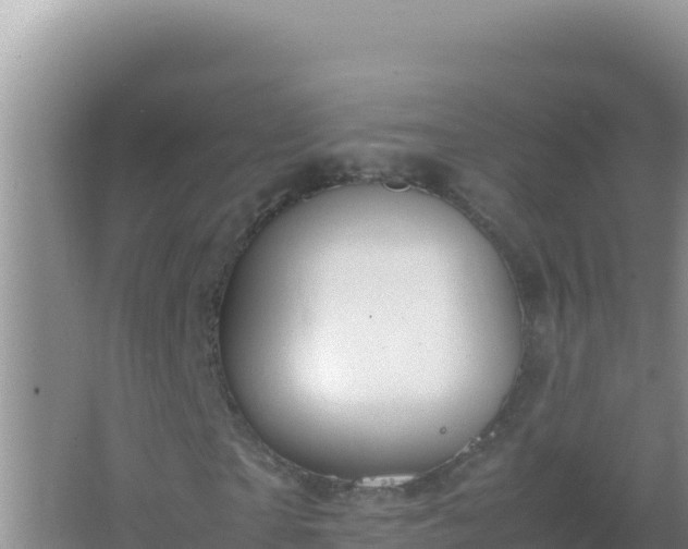 X0000067500865200604150105