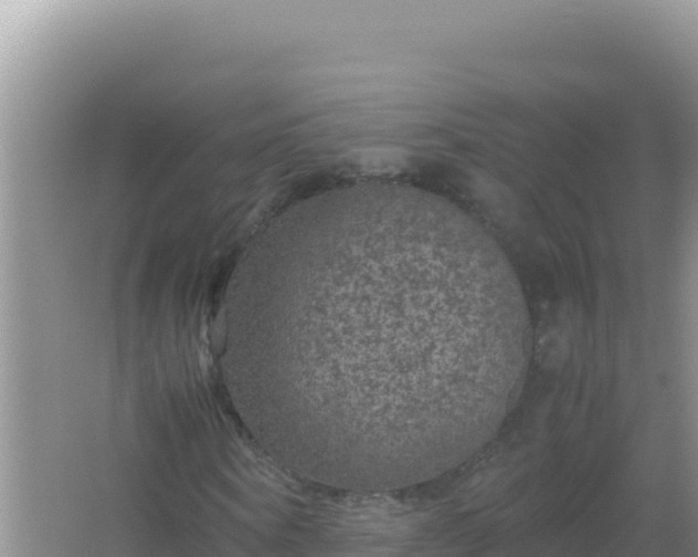 X0000067500866200604150105