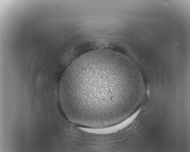 X0000067500867200604150105