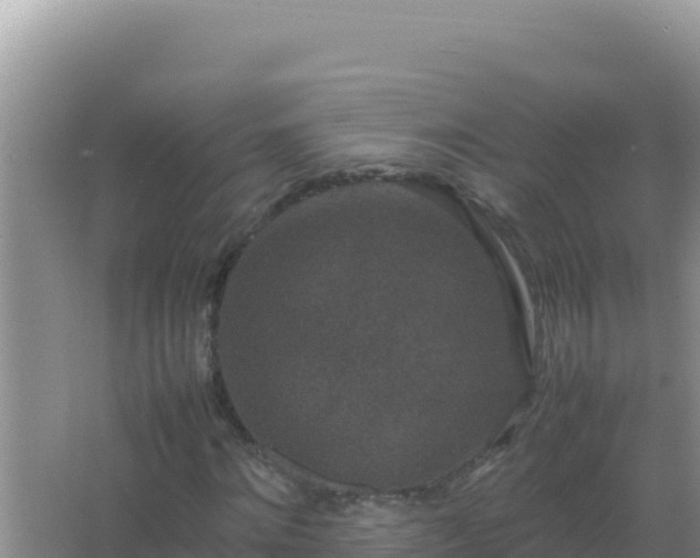 X0000067500868200604150105