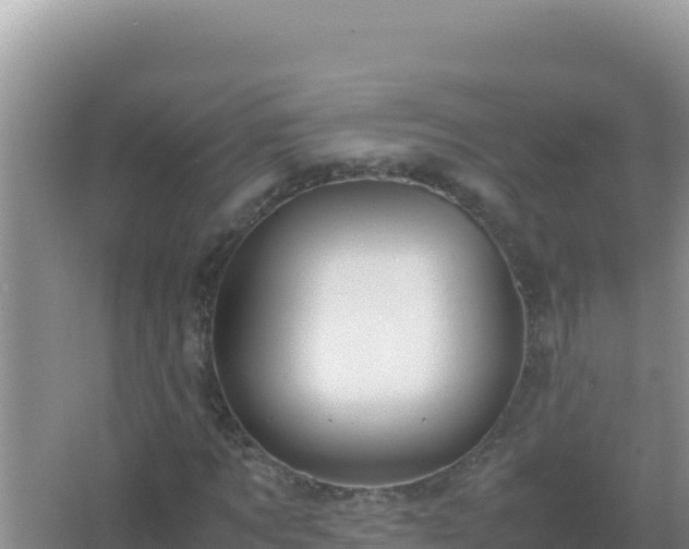 X0000067500869200604150105