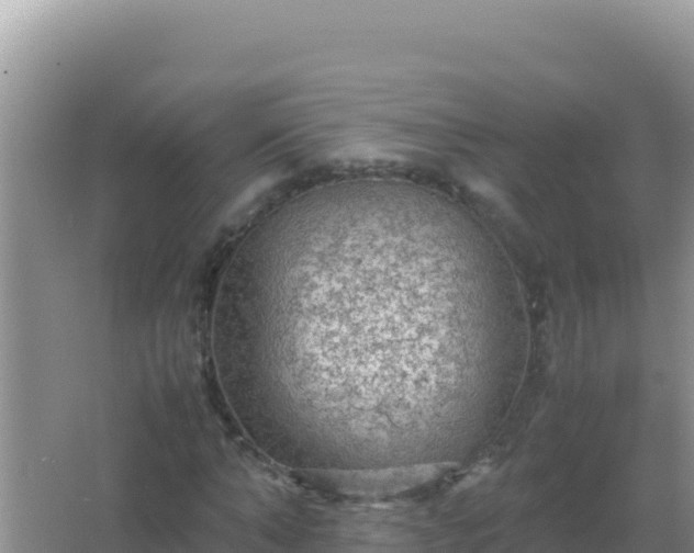 X0000067500870200604150105