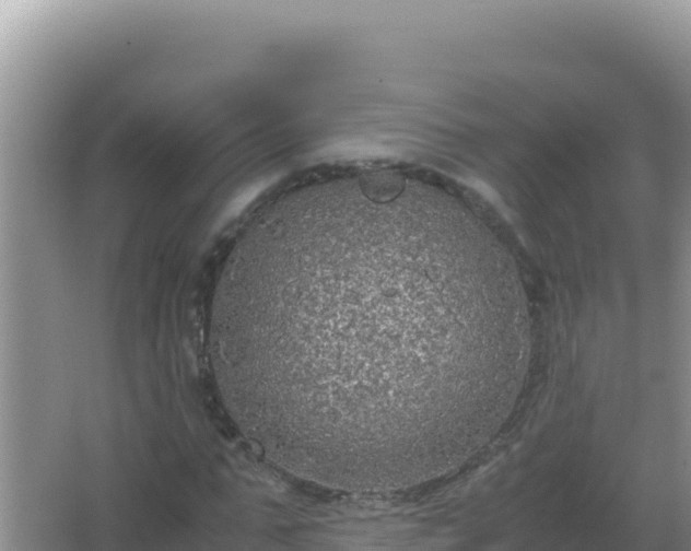 X0000067500871200604150105