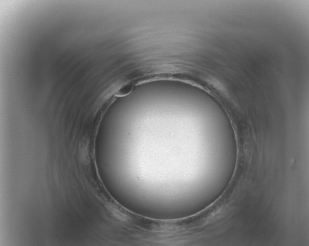 X0000067500873200604150105