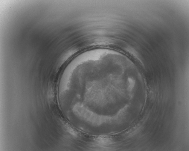 X0000067500874200604150105