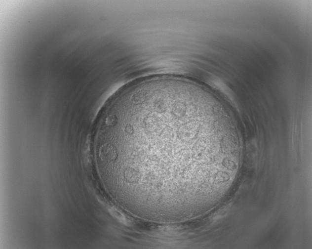 X0000067500875200604150105