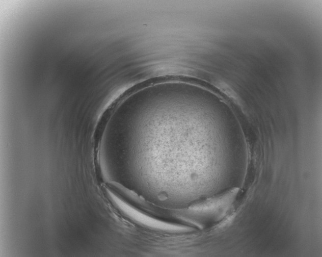 X0000067500877200604150105