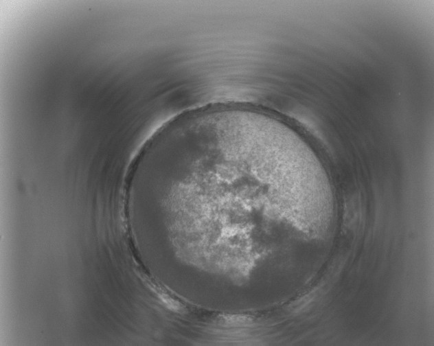 X0000067500878200604150105