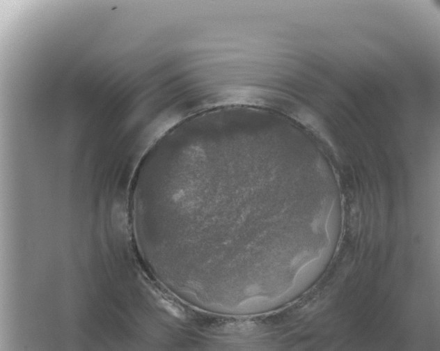 X0000067500882200604150105