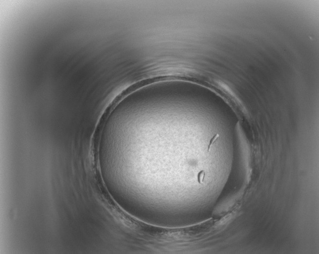 X0000067500883200604150105