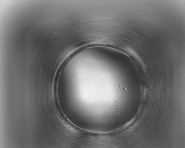 X0000067500884200604150105