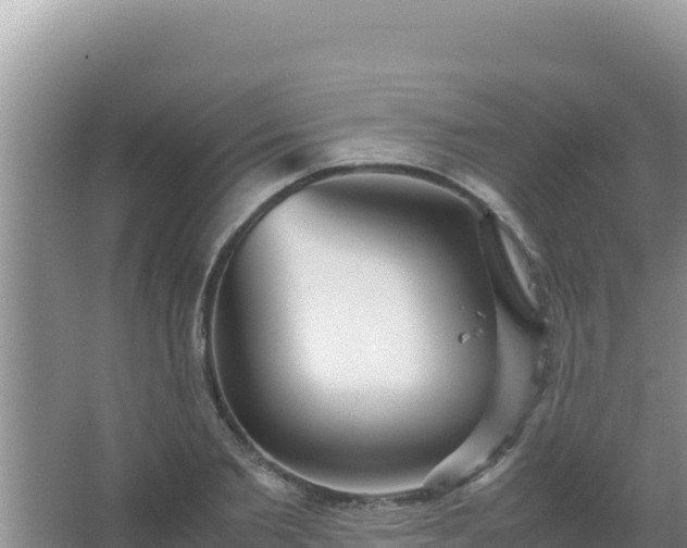 X0000067500885200604150105