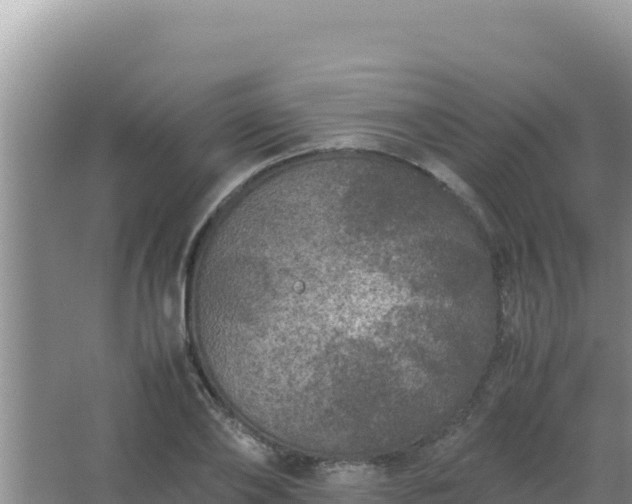 X0000067500886200604150105