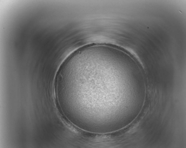 X0000067500887200604150105