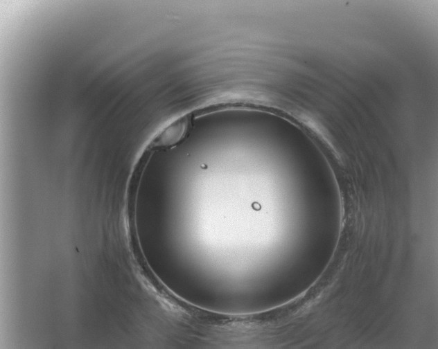 X0000067500888200604150105